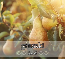 Sennik gruszki