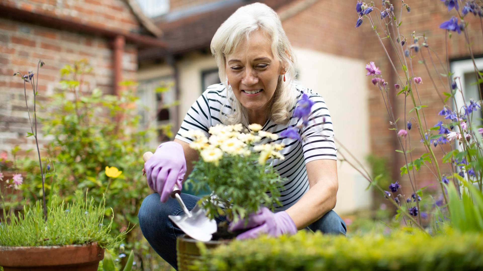 Wsadź to do ziemi, a miłość rozkwitnie. Uwaga, masz czas tylko do końca miesiąca