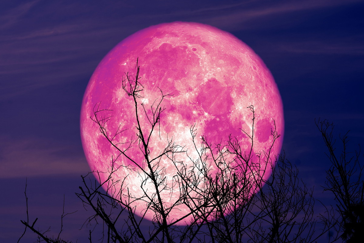 Truskawkowy Księżyc na niebie 22 czerwca 2024