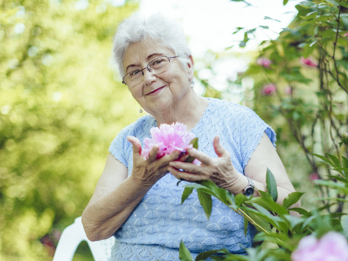Polacy uwielbiają ten kwiat, ale nie wiedzą o jego tajnej mocy
