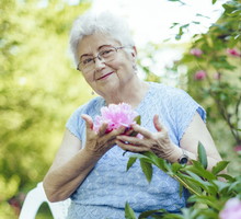 Polacy uwielbiają ten kwiat, ale nie wiedzą o jego tajnej mocy
