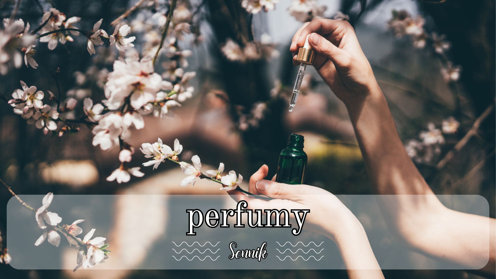 Sennik perfumy