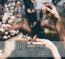 Sennik perfumy