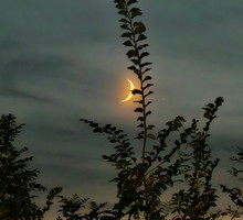 Nów Księżyca w czerwcu 2024