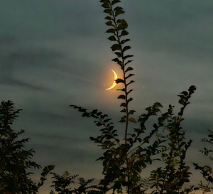 Nów Księżyca w czerwcu 2024