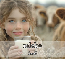 Sennik mleko