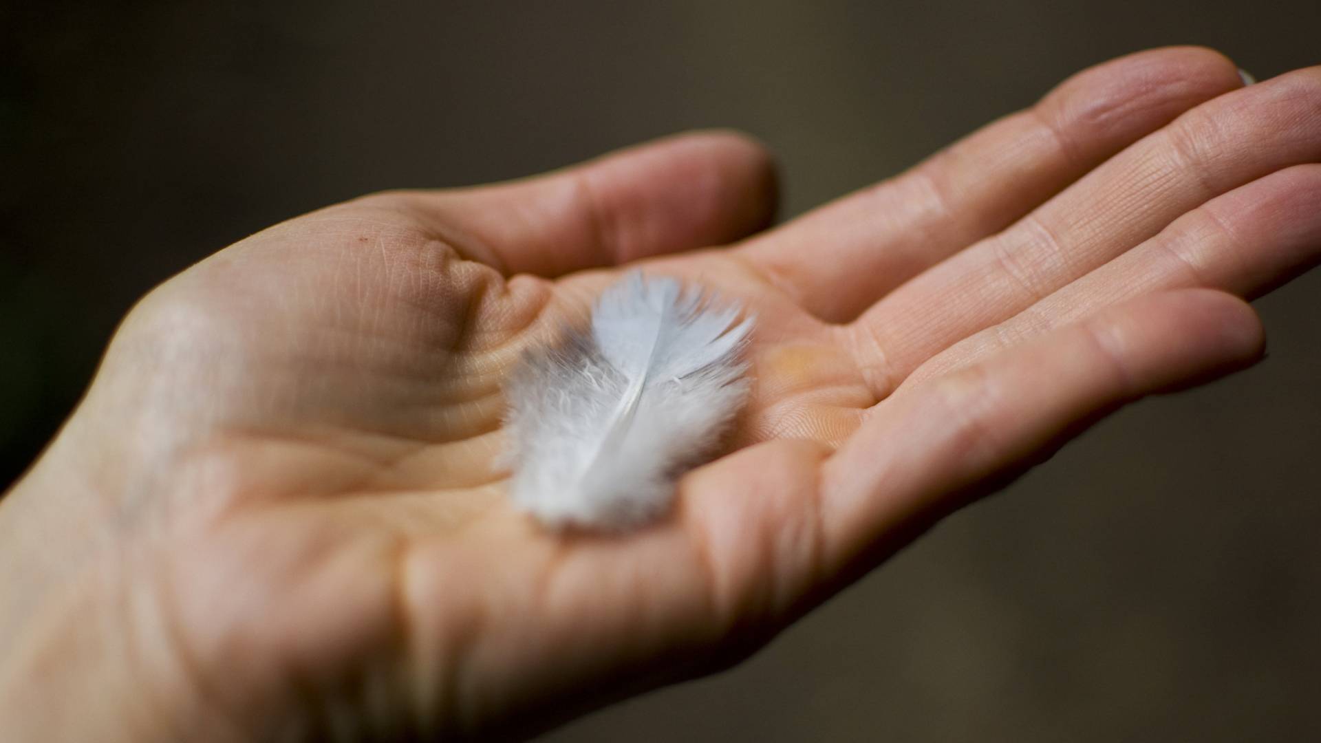 Wskazano 3 znaki zodiaku, które w czerwcu doświadczą daru niebios