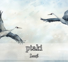 Sennik ptaki