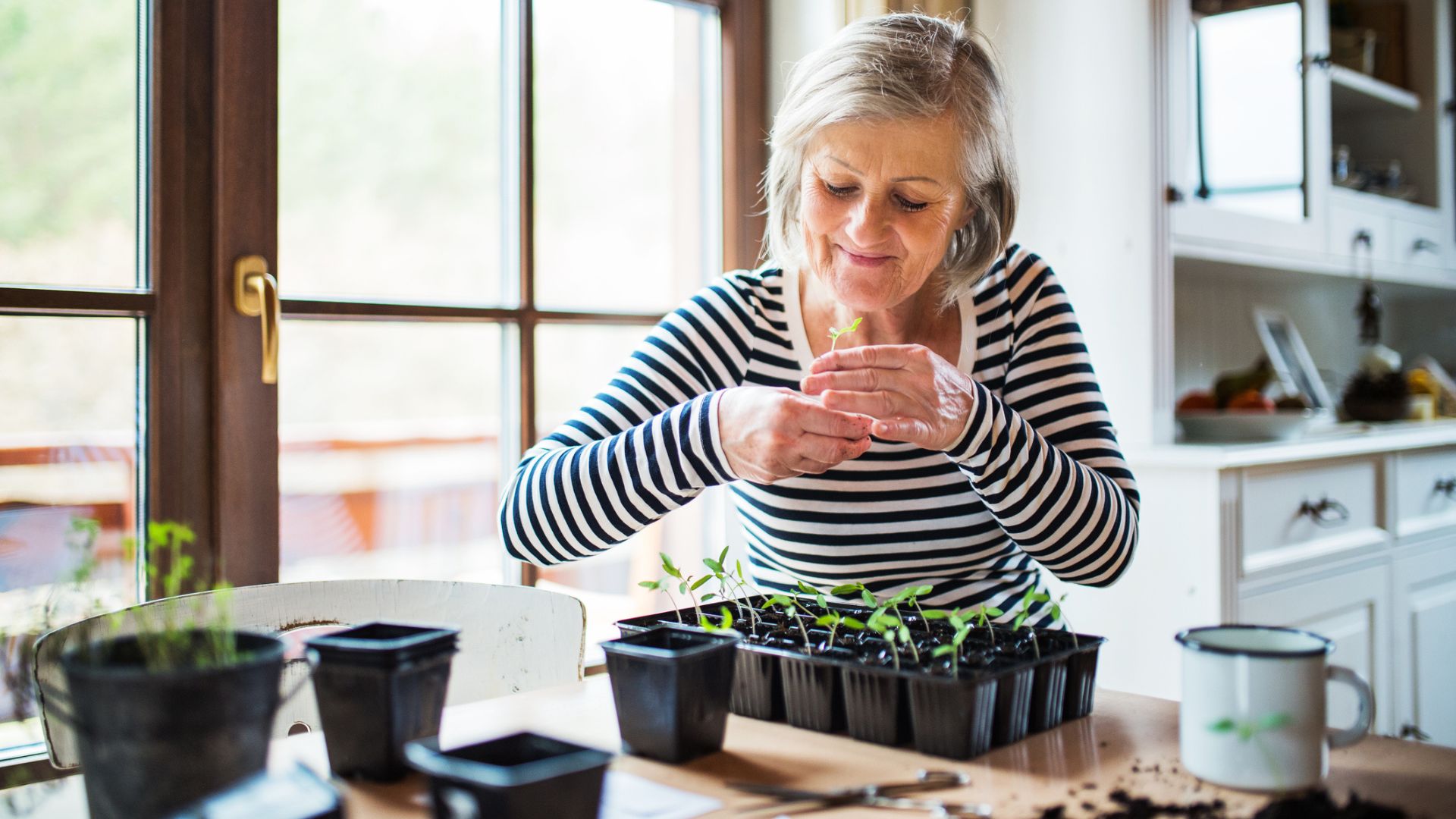 Pestki tej rośliny przepowiedzą