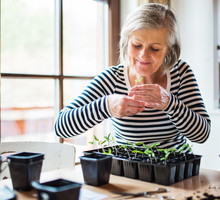 Pestki tej rośliny przepowiedzą
