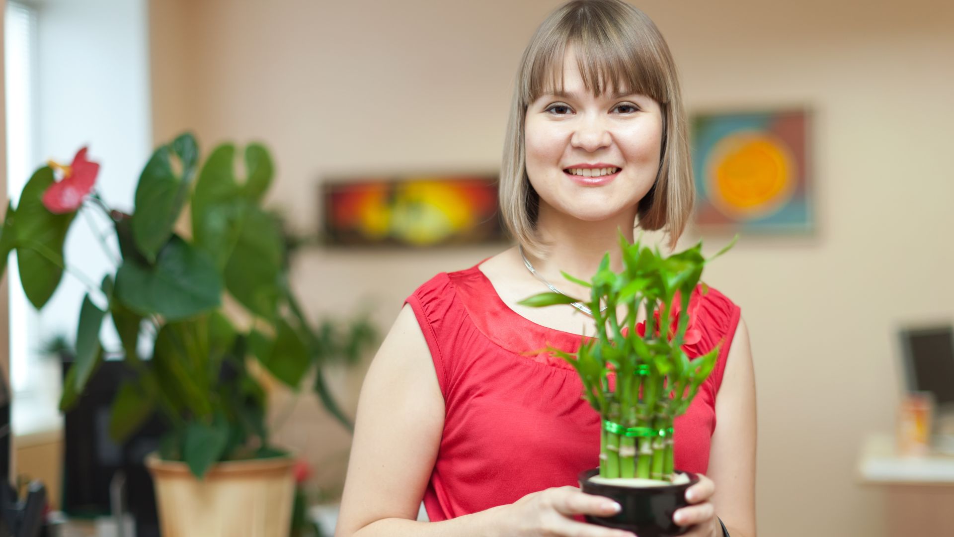 roślina odstrasza negatywne energie