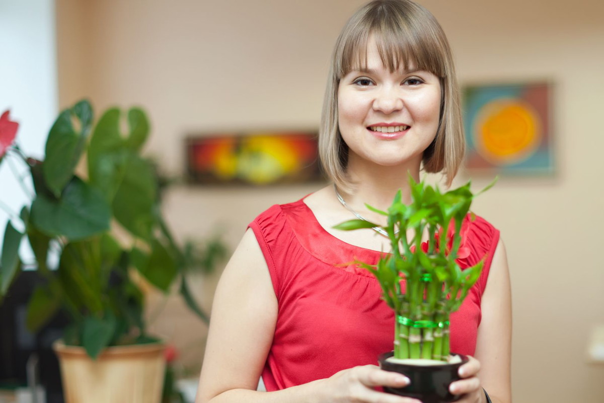 roślina odstrasza negatywne energie