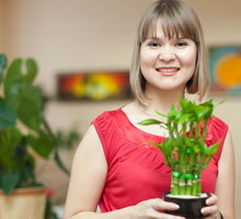 roślina odstrasza negatywne energie