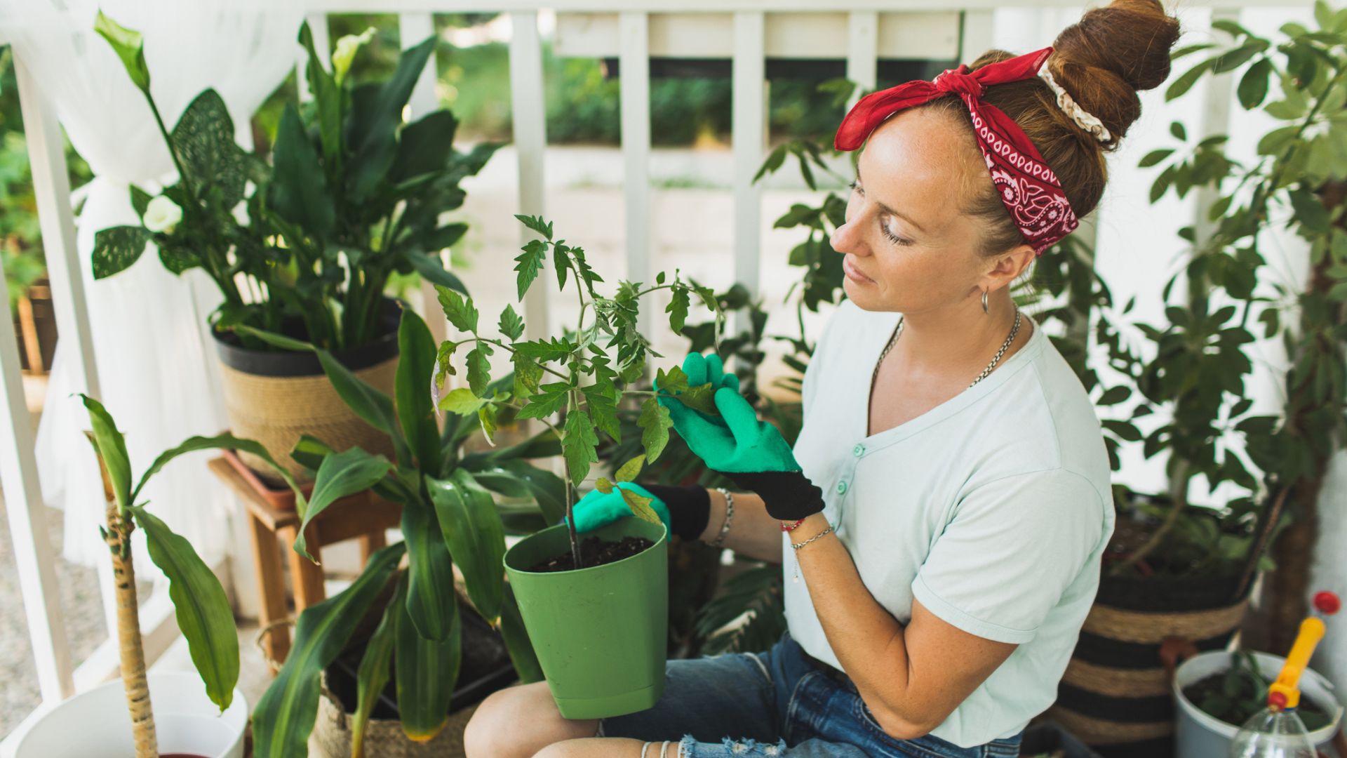 Zrób to z kwiatami, zanim nadejdą Zielone Świątki