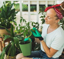 Zrób to z kwiatami, zanim nadejdą Zielone Świątki