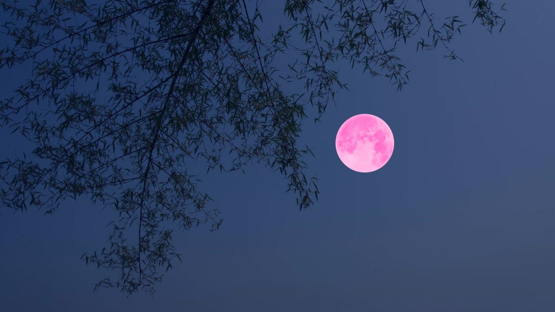 Pełnia Różowego Księżyca mocno wpłynie na 3 znaki zodiaku