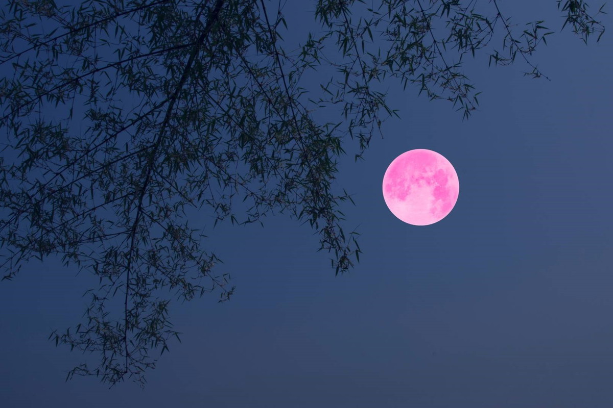 Pełnia Różowego Księżyca mocno wpłynie na 3 znaki zodiaku