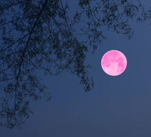 Pełnia Różowego Księżyca mocno wpłynie na 3 znaki zodiaku