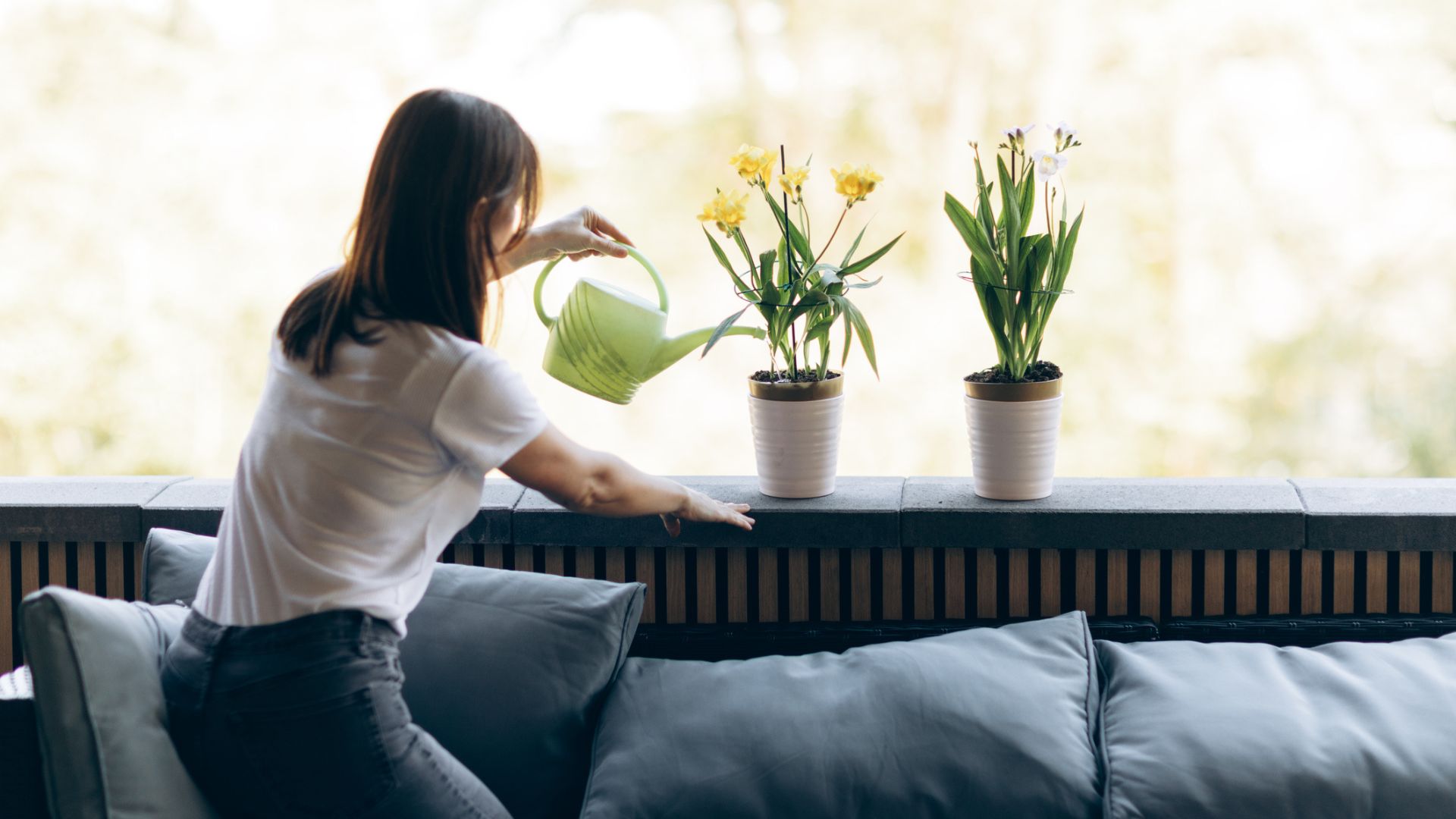 Postaw to na parapecie w kuchni