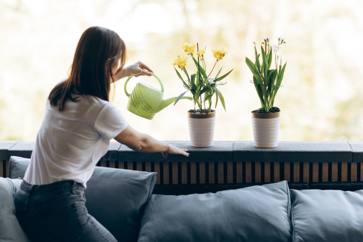 Postaw to na parapecie w kuchni