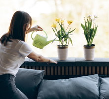 Postaw to na parapecie w kuchni