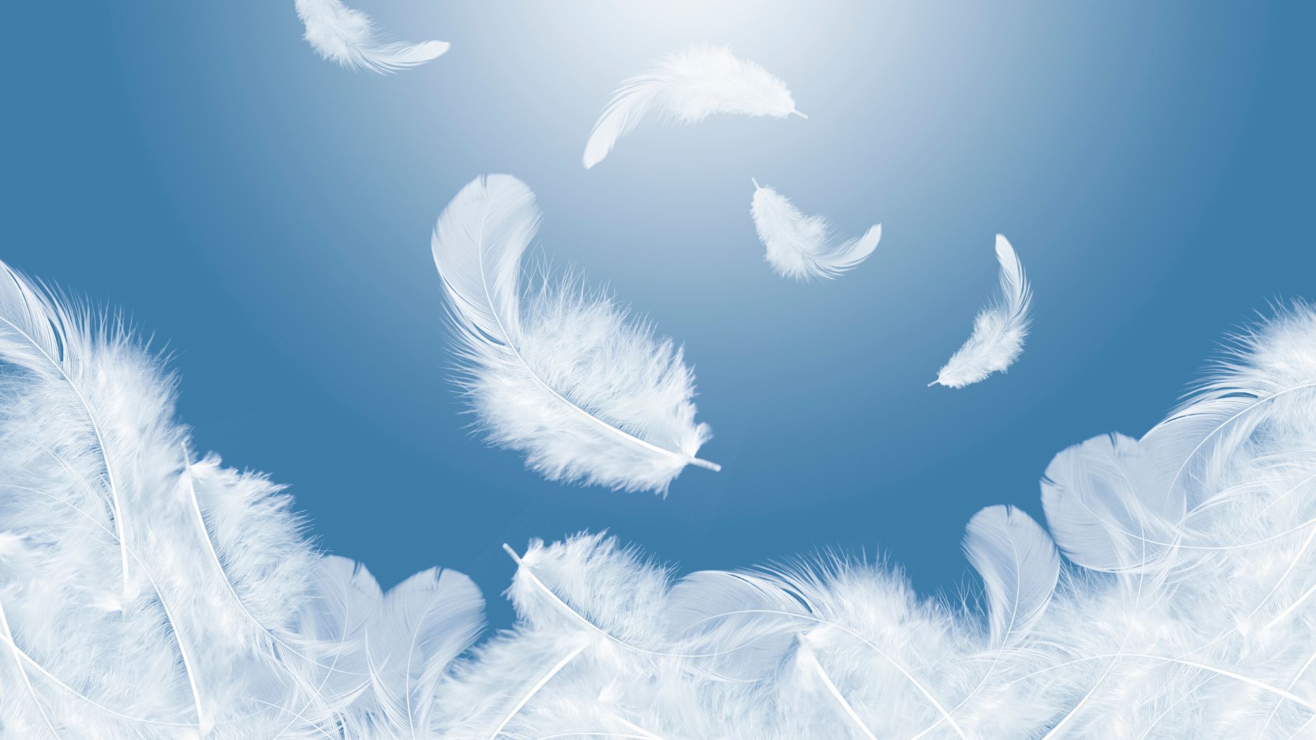 Pióro anioła ześle szczęśliwe dni