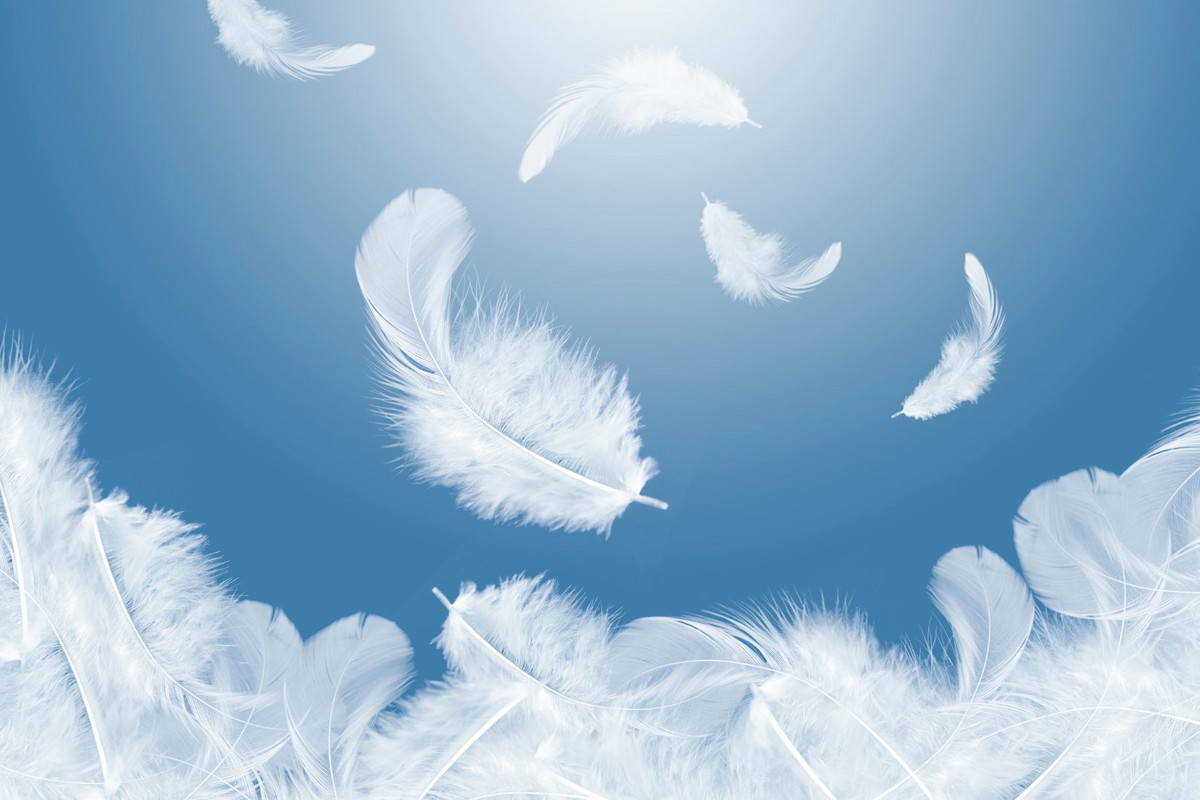 Pióro anioła ześle szczęśliwe dni