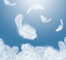 Pióro anioła ześle szczęśliwe dni