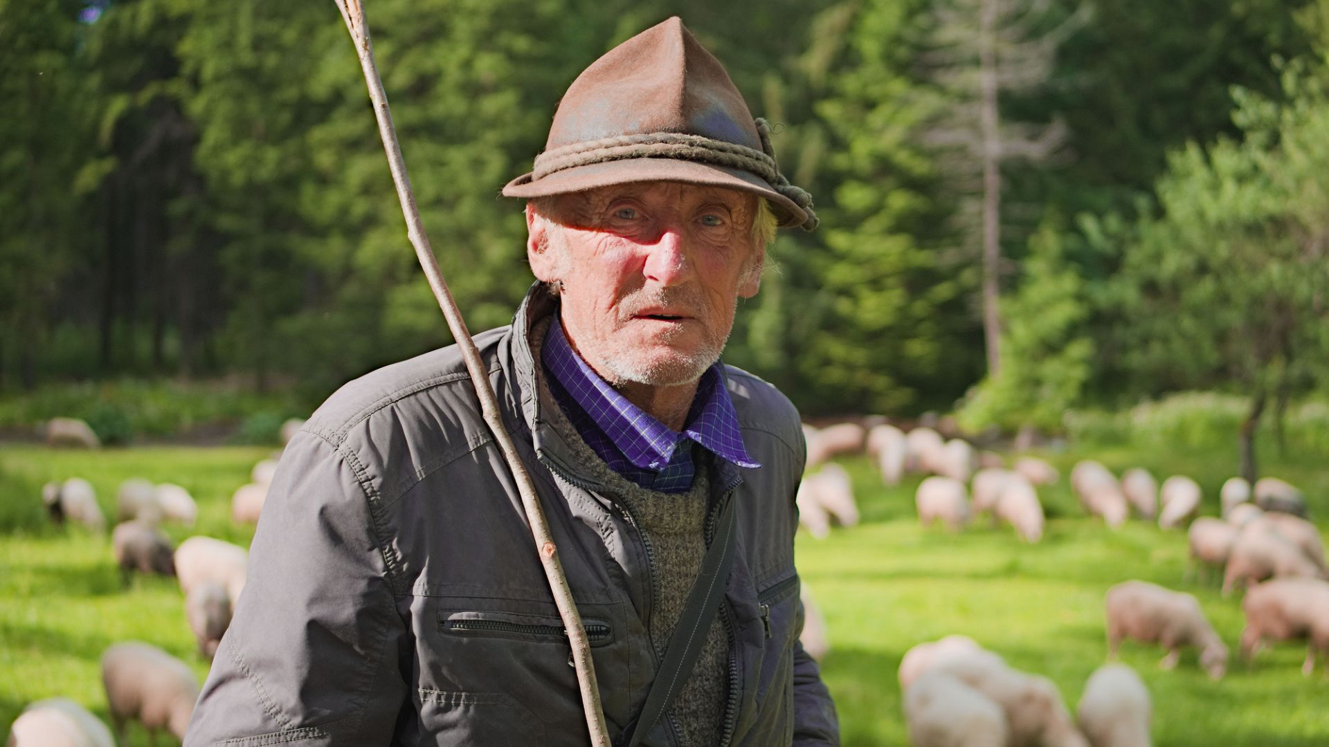 góralski sposób na przyciąganie pieniędzy