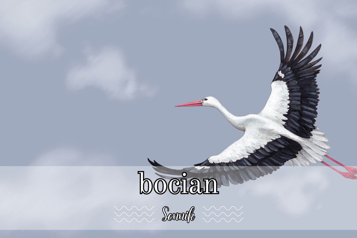 Sennik bocian