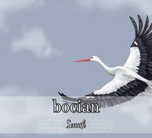 Sennik bocian