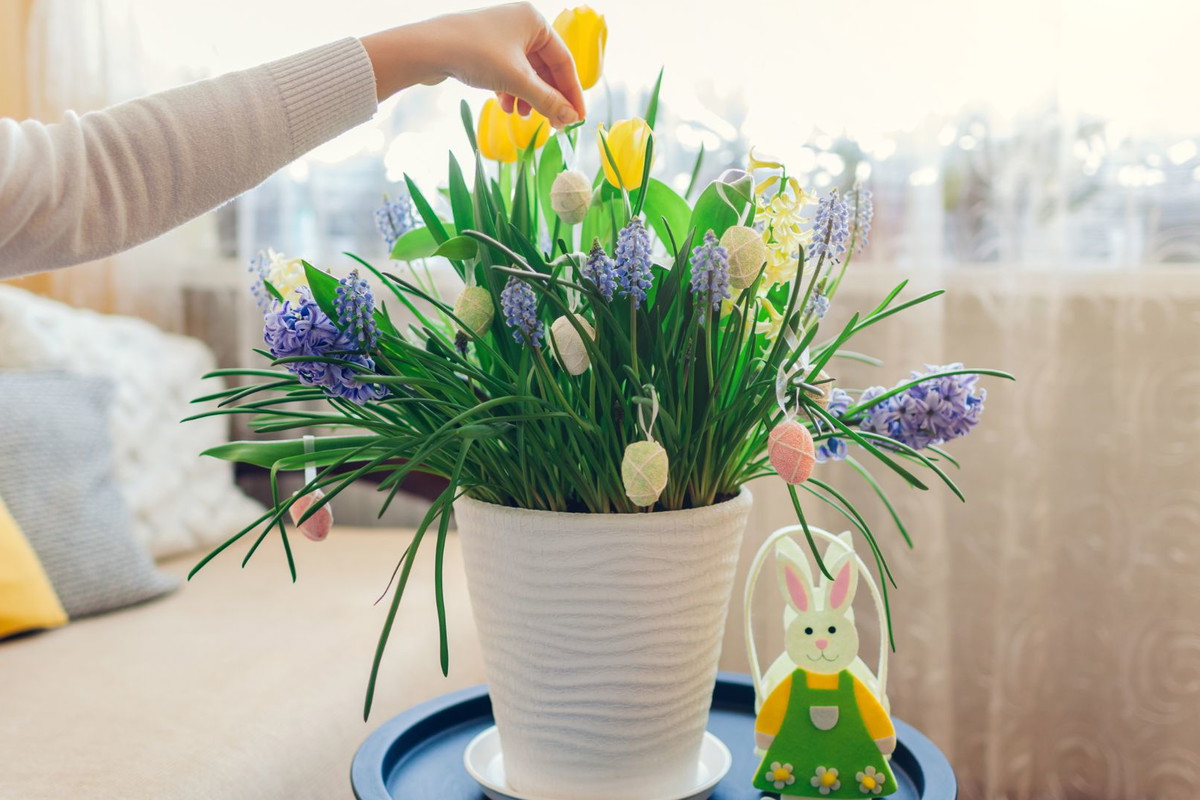 składnik do dekoracji w Poniedziałek Wielkanocny