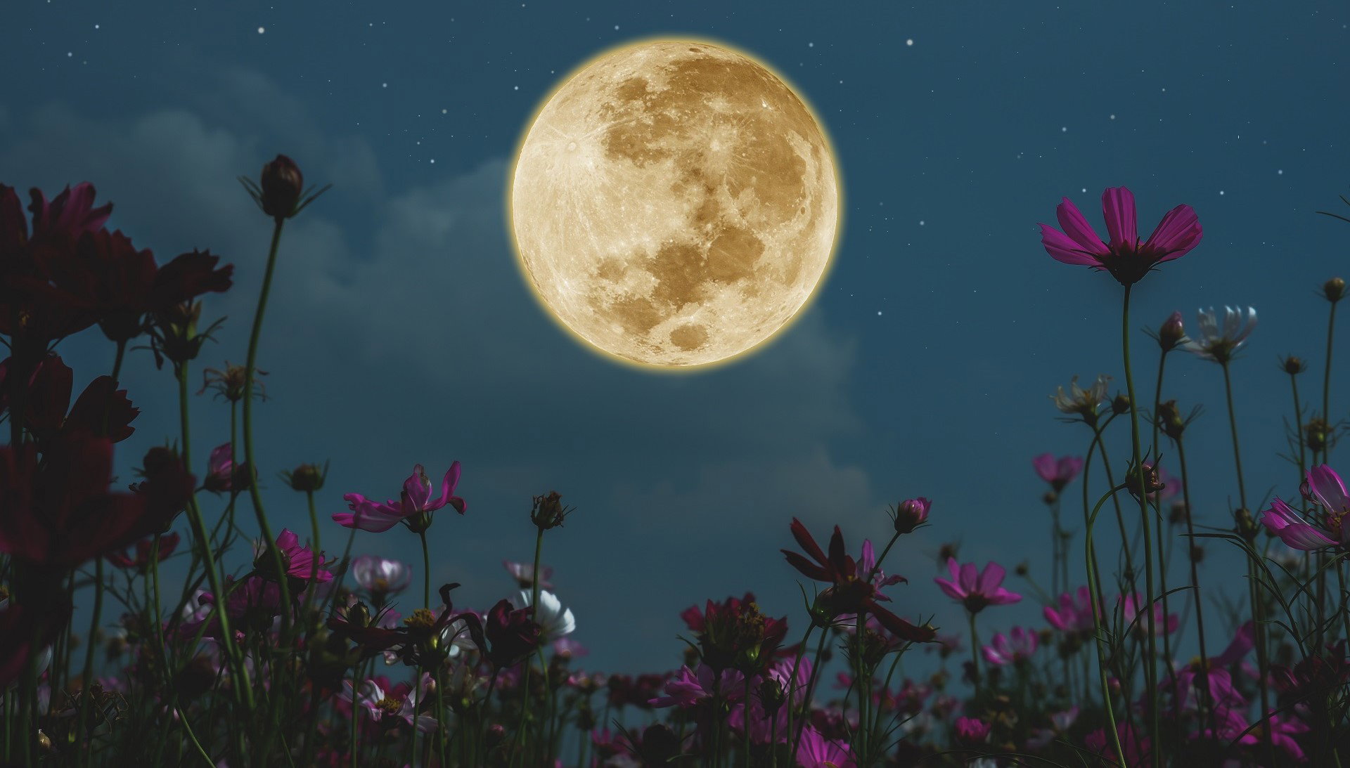 Wielka prognoza astrologiczna na kwiecień 2024