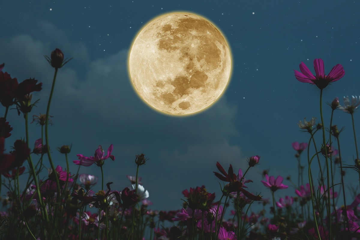 Wielka prognoza astrologiczna na kwiecień 2024