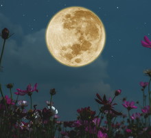 Wielka prognoza astrologiczna na kwiecień 2024