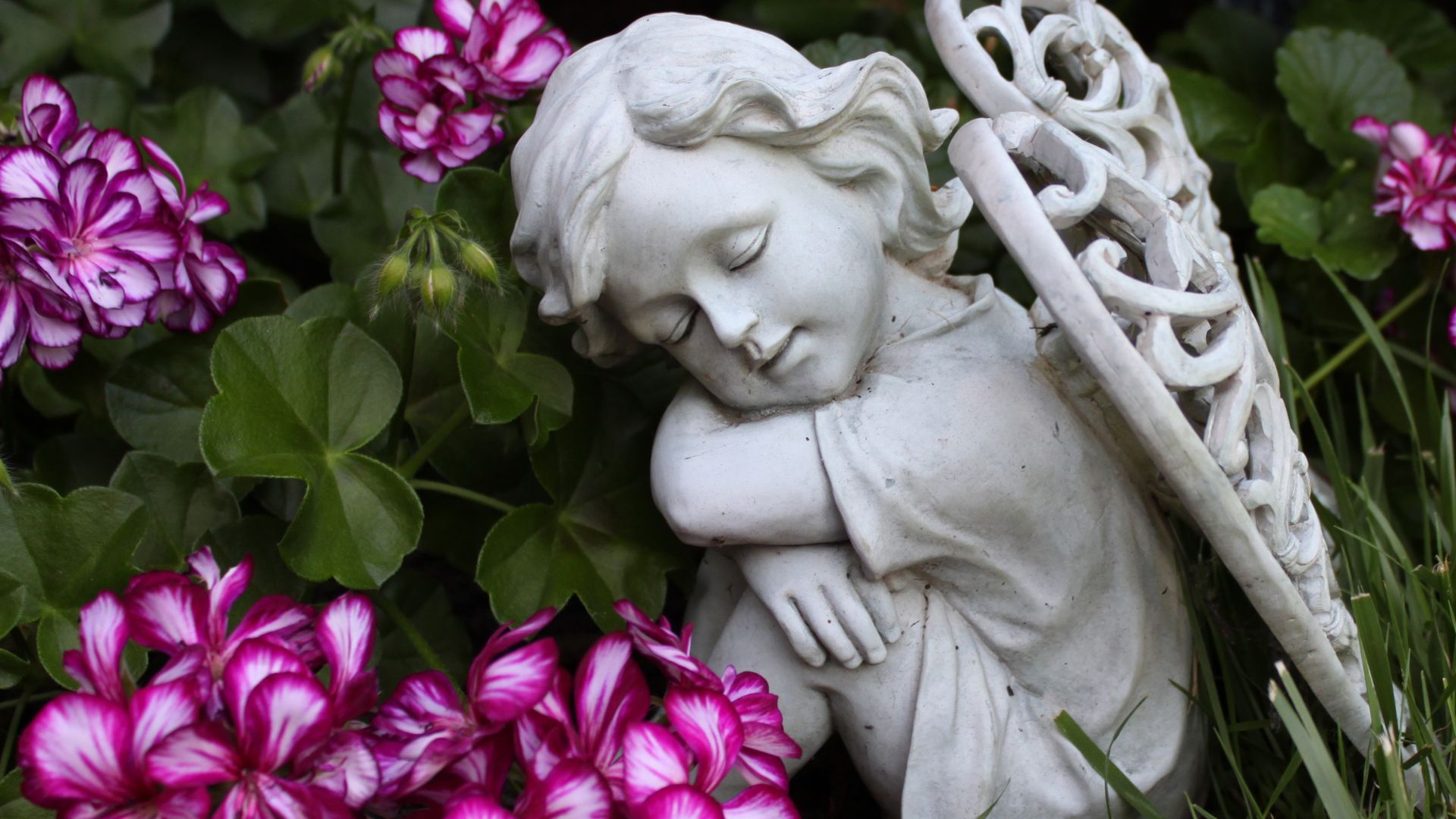 anioły niosą przesłanie