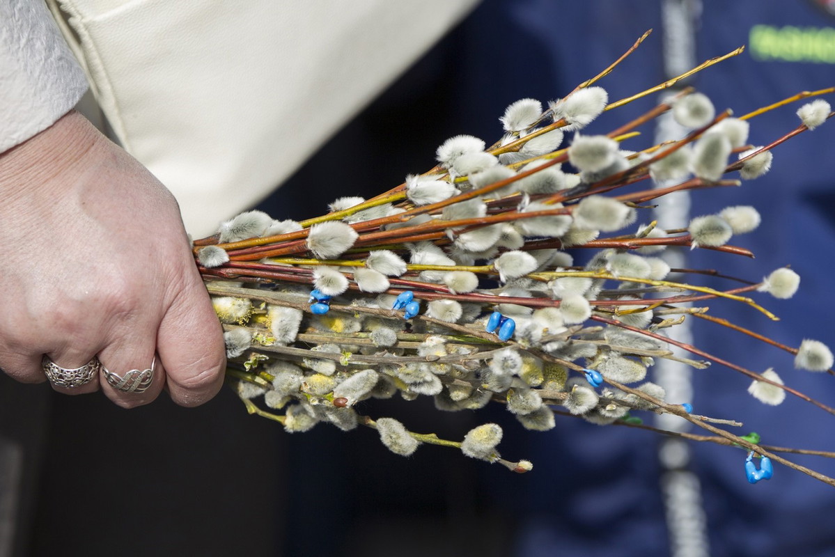 Umieść bazie w tym miejscu, a pech cię nie dosięgnie