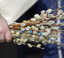 Umieść bazie w tym miejscu, a pech cię nie dosięgnie