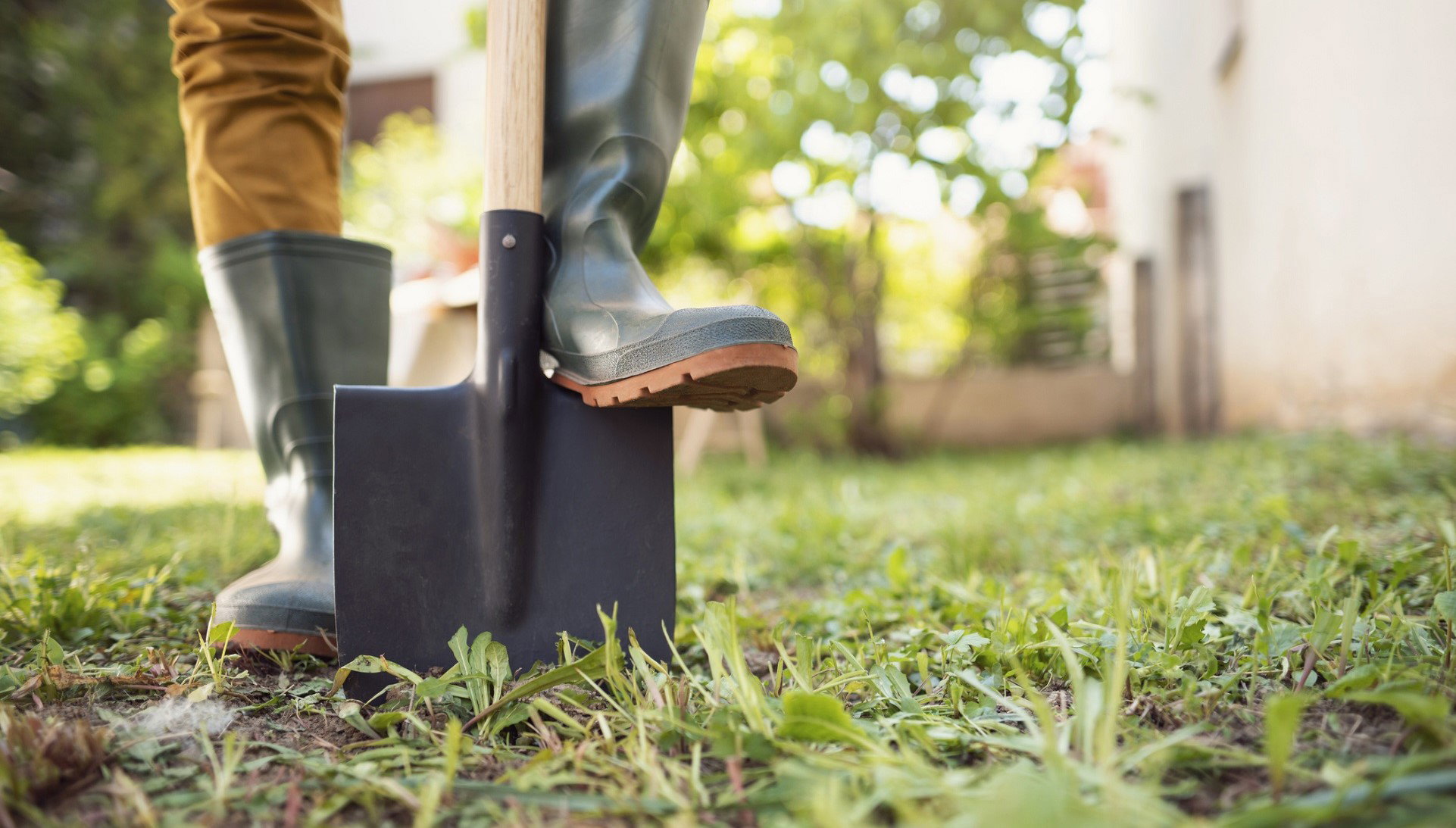 Zakop w ogródku ten przedmiot, a przyciągniesz majątek