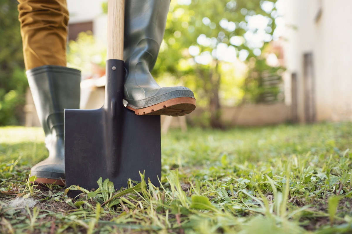 Zakop w ogródku ten przedmiot, a przyciągniesz majątek
