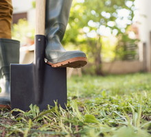 Zakop w ogródku ten przedmiot, a przyciągniesz majątek