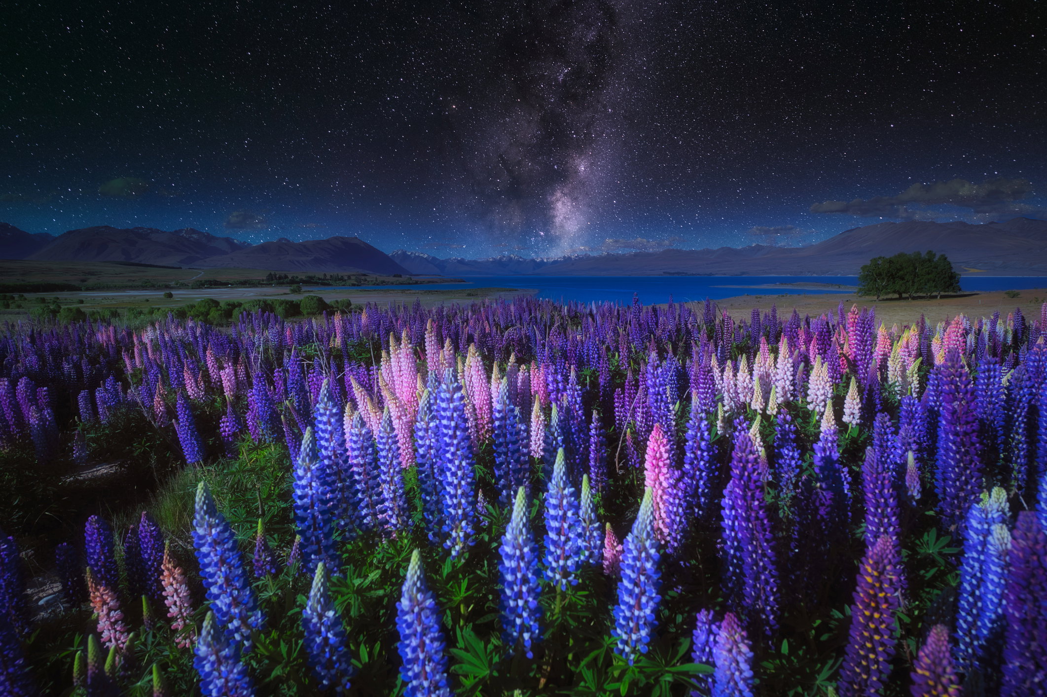 Horoskop na przesilenie wiosenne 2024