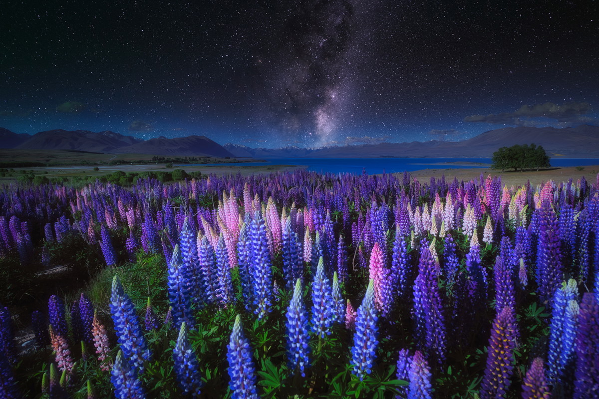 Horoskop na przesilenie wiosenne 2024