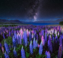 Horoskop na przesilenie wiosenne 2024