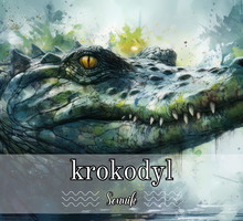 sennik krokodyl