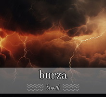 Sennik burza