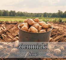 Sennik ziemniaki