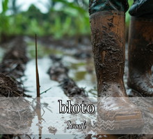 Sennik błoto
