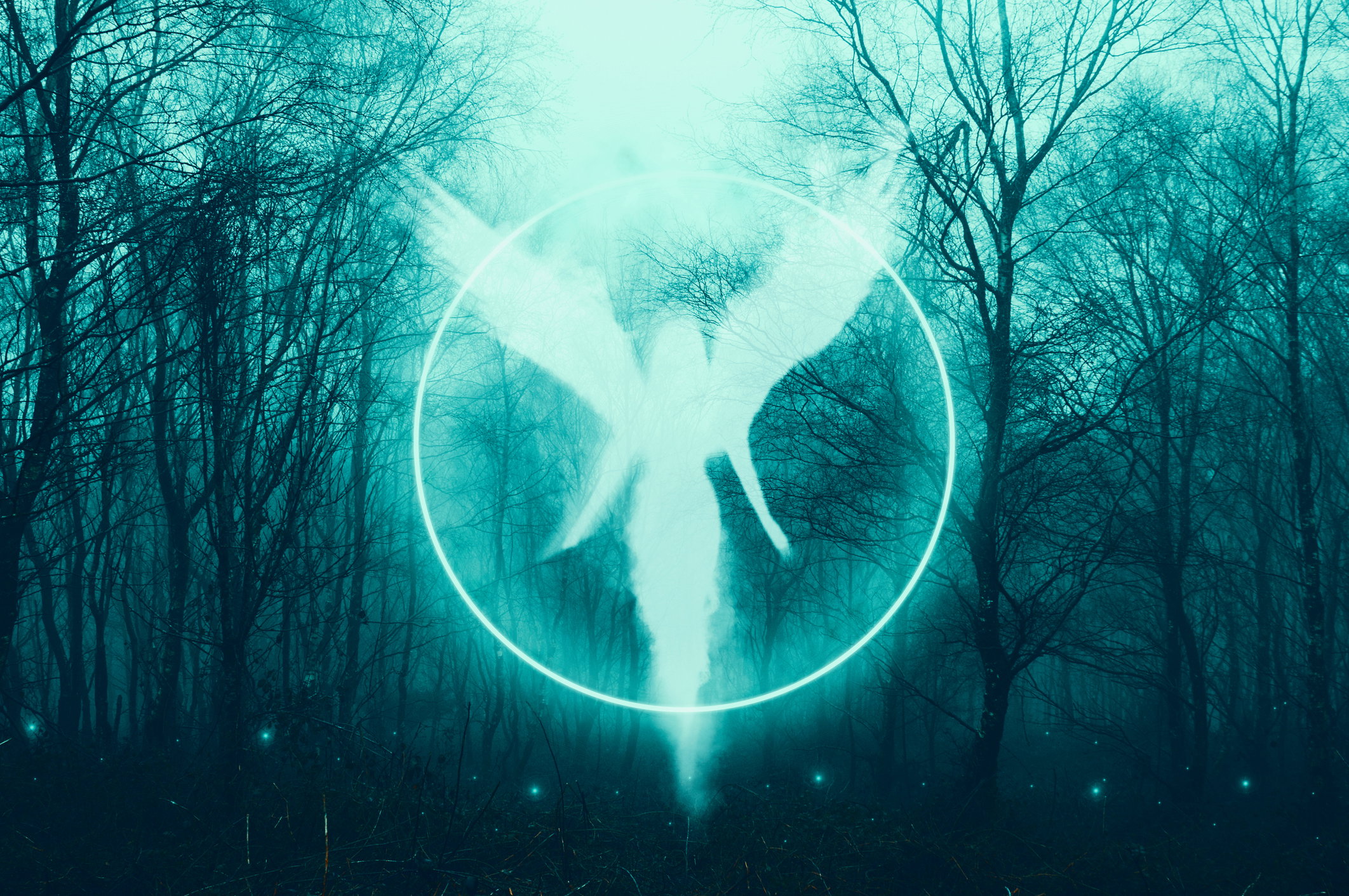 Wielki horoskop anielski na wiosnę 2024