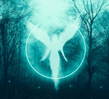 Wielki horoskop anielski na wiosnę 2024